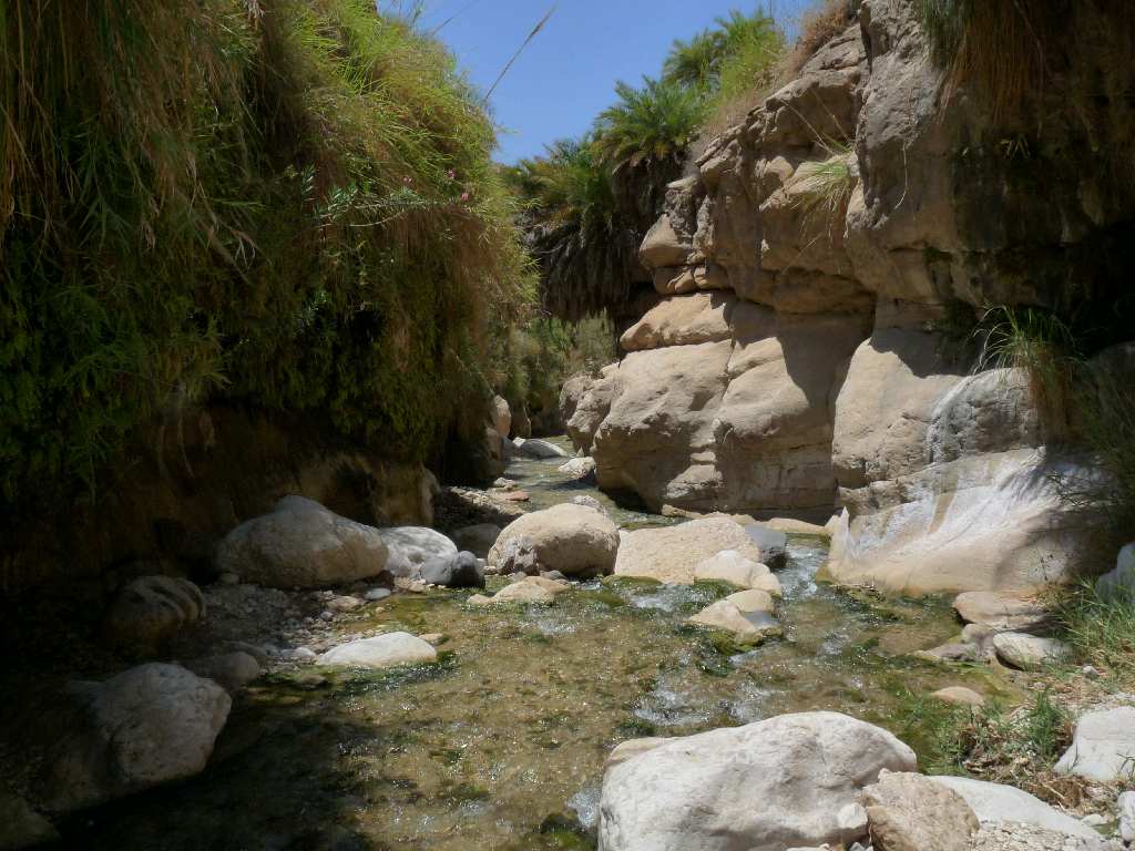 12a.Trek Wadi Ibn Hammad 