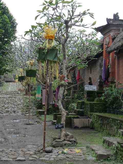 099.Tenganan Pegringsingan-Bali Aga village