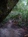 286.Bo - Bako National Park - Telok Delima Trail